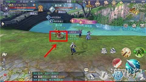 雨后盛放